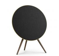 Bang and Olufsen Beoplay A9 with the Google Assistant - 4th Gen